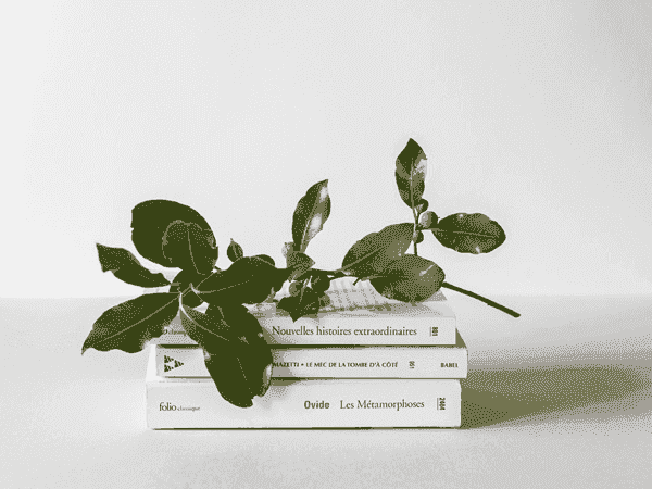 文件管理器的软件云呼