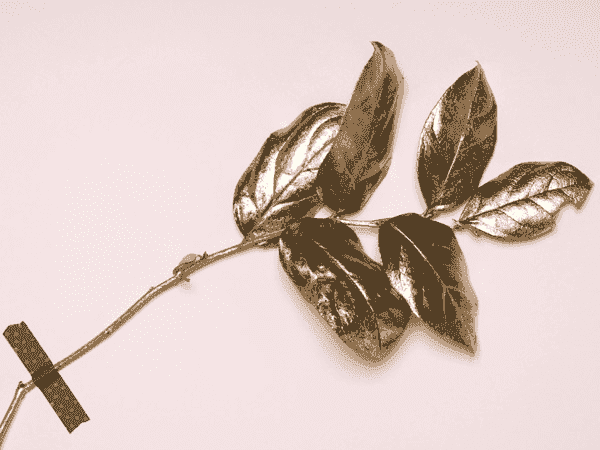 手机短信轰在线轰炸免费